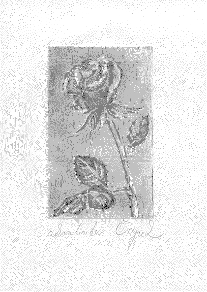 rose,