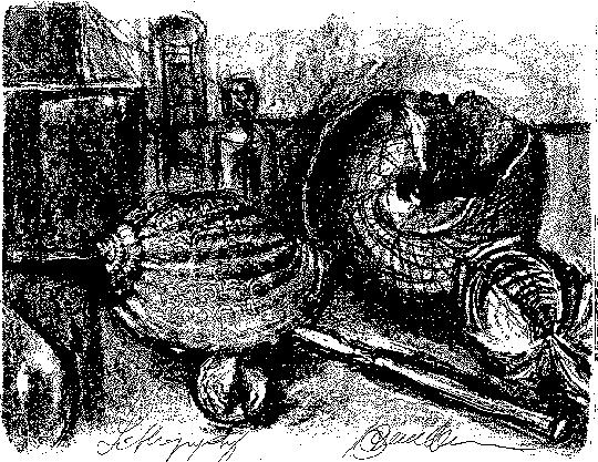 trochus