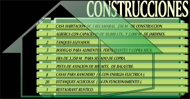 Construcciones en General; las m�s importantes.