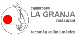 Logotipo actual.