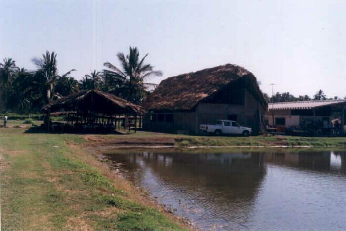 Restaurant 'La Granja' en 1993.