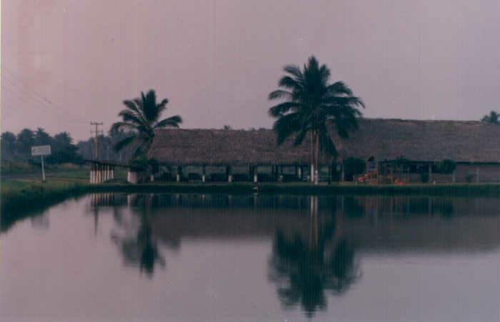 Restaurant 'La Granja' en 1998.