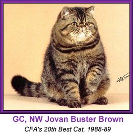 GC, NW Jovan Buster Brown