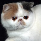 Photo of Miss Daisy