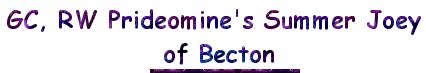 GC, RW Prideomine's Summer Joey of Becton