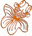 disapperbutt.gif (59281 bytes)