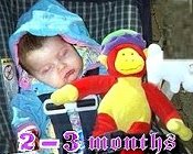 Cielo 2 - 3 months old