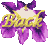 back button