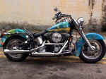 shawn_bike.jpg (53903 bytes)
