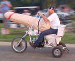 Toilettrike.jpg (49630 bytes)