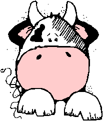 DZcow