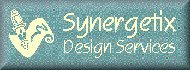 Synergetix Web Design Services