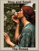 Stop and Smell the Roses