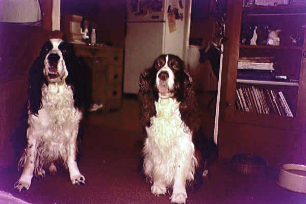 Kodi and Kyle
