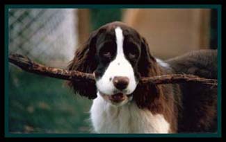 Amy with Stick