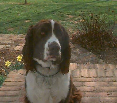 Buster