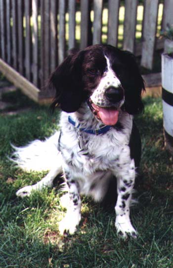 George