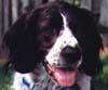 George