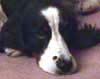 Lucy