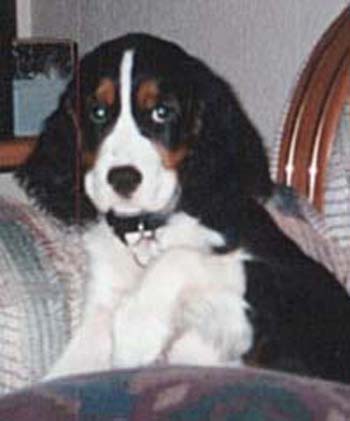Amy