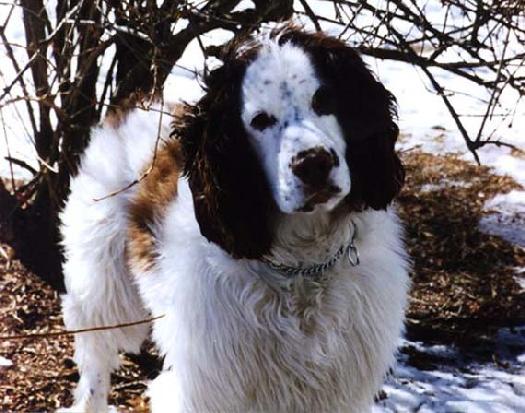 Clancy
