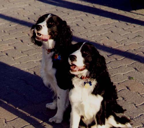 Holly and Kobe