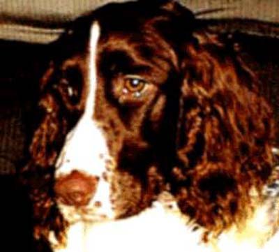 Maggie