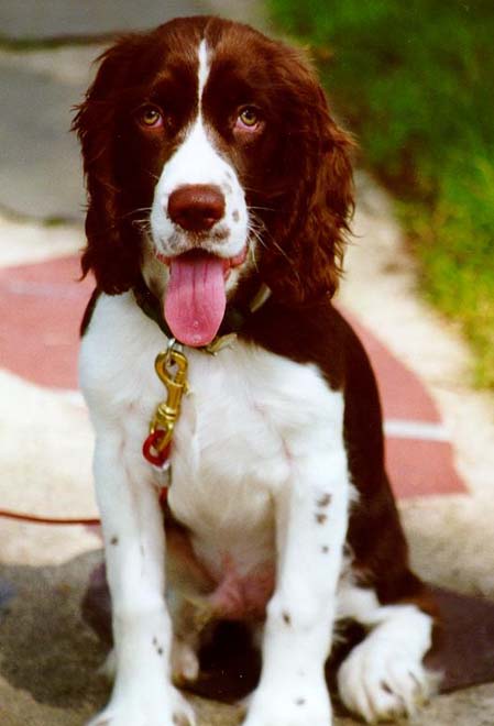 Max