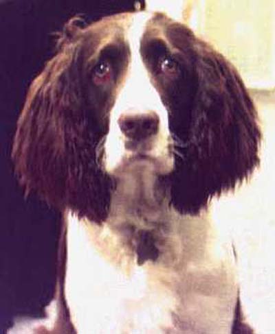 Tucker