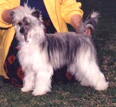 Deeva