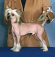 Quazar