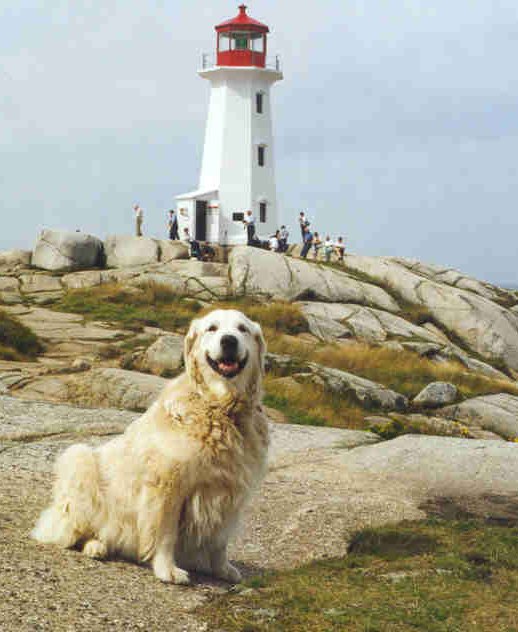 Peggy's Cove