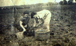 Marie Booker and friend in the onion patch