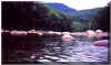 Swift River