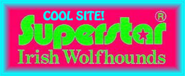 Superstar's Cool Site