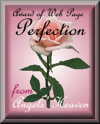 Angels Award for Web Page Perfection