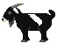 Goat