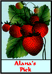 alana award