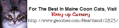 Link to Kitty-Up Cattery