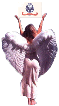 Army Angel