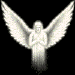 Fly Angel