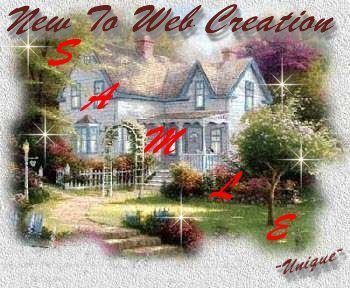 New Creation