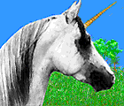 unibowo2