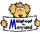 Adopt-a-pet in Maryland