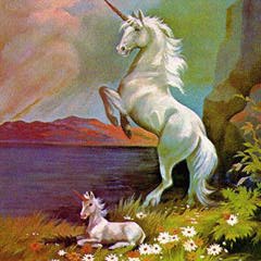 unicorn