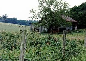 Barn #22 - Eastern TN