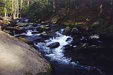 Cades Cove picnic area