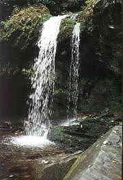 Grotto Falls - Great Smoky Mountains National park