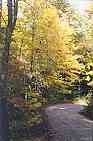 Rich Mountain Road