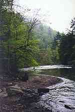 The Little River at the Townsend Y
